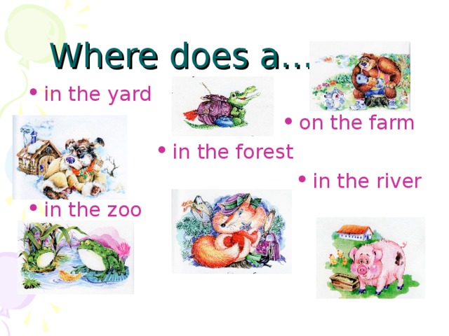 Where does a… live? in the yard on the farm in the forest in the river in the zoo 
