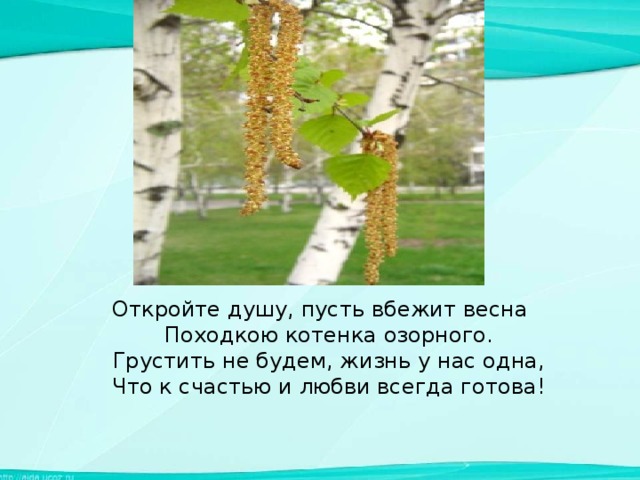 О той весне презентация