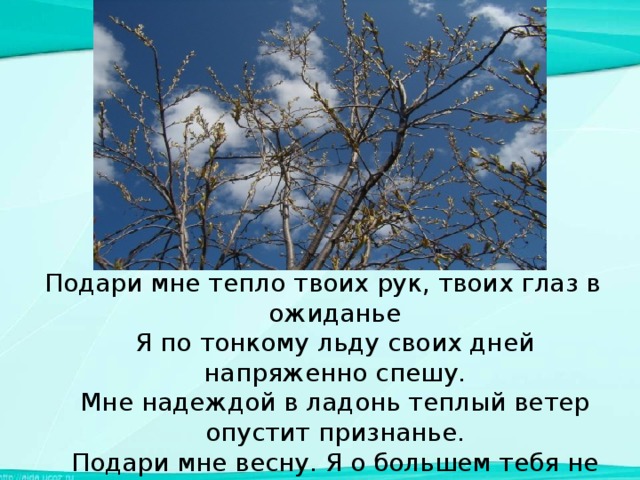 Подари мне тепло твоих рук, твоих глаз в ожиданье  Я по тонкому льду своих дней напряженно спешу.  Мне надеждой в ладонь теплый ветер опустит признанье.  Подари мне весну. Я о большем тебя не прошу. Н.Балуева 