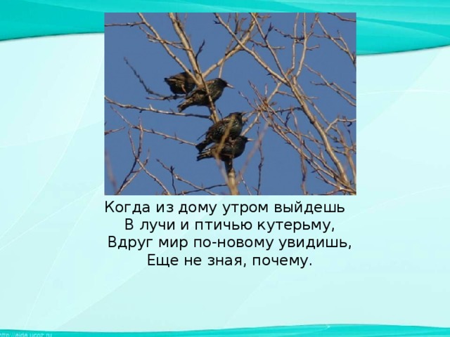 Когда из дому утром выйдешь  В лучи и птичью кутерьму,  Вдруг мир по-новому увидишь,  Еще не зная, почему.    