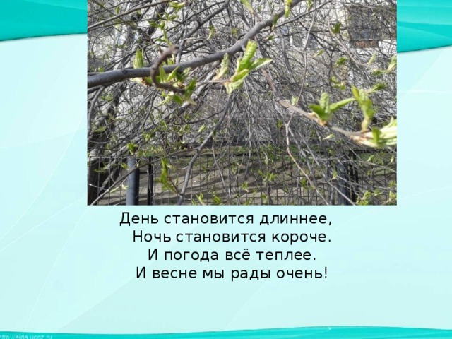 День становится длиннее,  Ночь становится короче.  И погода всё теплее.  И весне мы рады очень!   