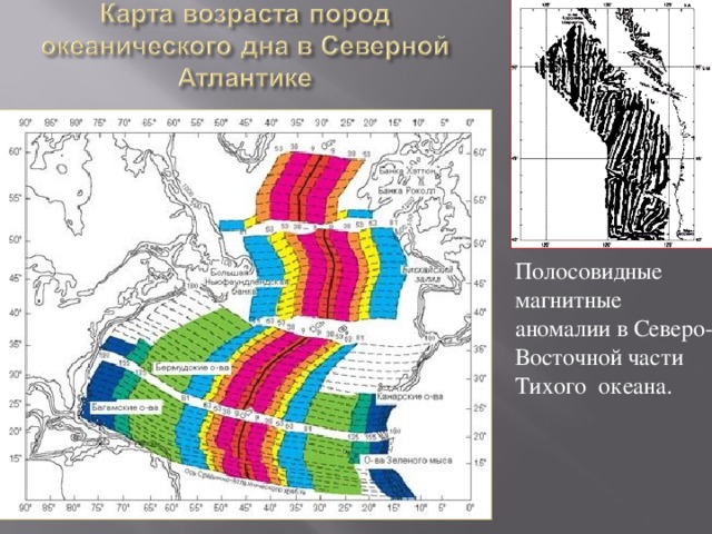 Полосовидные магнитные аномалии в Северо- Восточной части Тихого океана. 