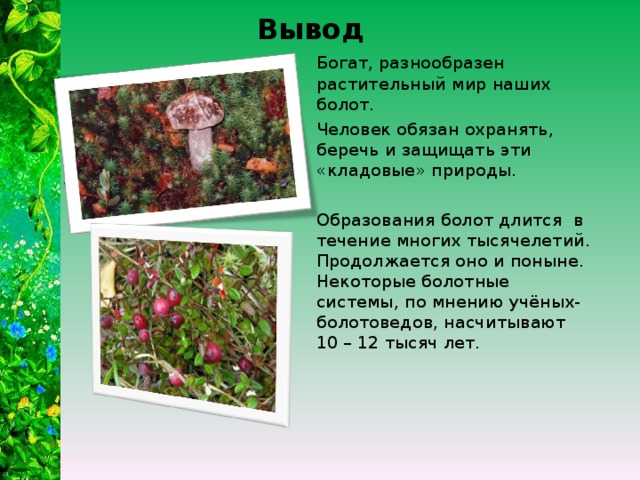 Проект растительный мир