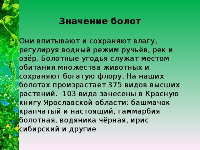  Значение болот   Они впитывают и сохраняют влагу, регулируя водный режим ручьёв, рек и озёр. Болотные угодья служат местом обитания множества животных и сохраняют богатую флору. На наших болотах произрастает 375 видов высших растений. 103 вида занесены в Красную книгу Ярославской области: башмачок крапчатый и настоящий, гаммарбия болотная, водяника чёрная, ирис сибирский и другие 