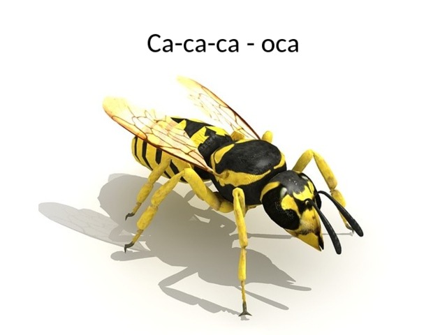 Са-са-са - оса 
