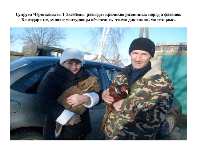 Супруги Черниковы из 1-Засеймья разводят кроликов различных пород и фазанов. Благодаря им, многие мантуровцы обзавелись этими диковинными птицами. 
