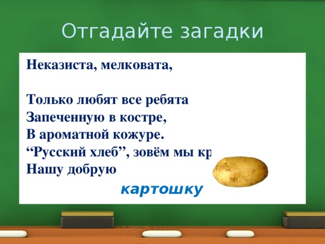 Отгадайте загадки  Неказиста, мелковата,  Только любят все ребята  Запеченную в костре,  В ароматной кожуре.  “Русский хлеб”, зовём мы крошку –  Нашу добрую  картошку 