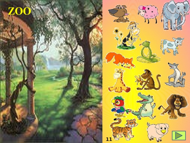 ZOO 11 