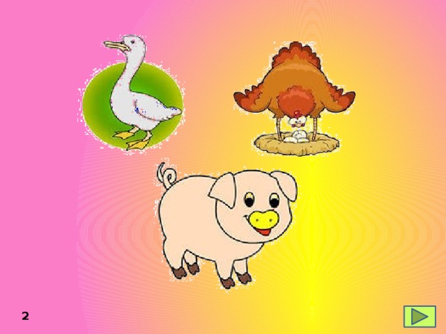 das Huhn die Gans das Schwein 2 