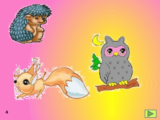 der Igel die Eule das Eichhörnchen 4 