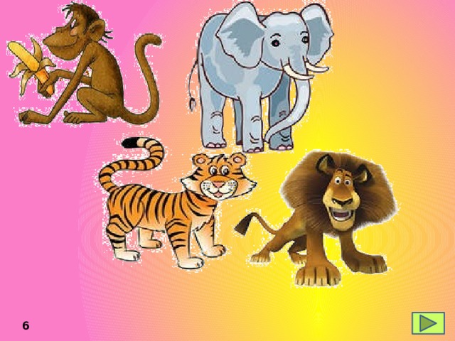 der Elefant der Affe der Löwe der Tiger 6 