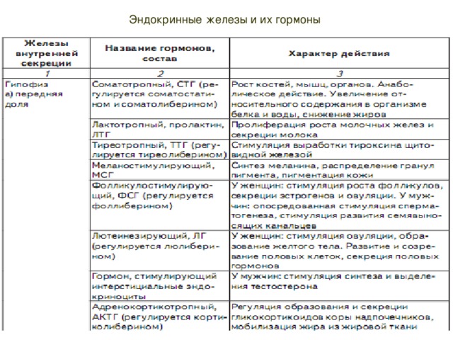 Железы внутренней секреции таблица 8 класс биология презентация