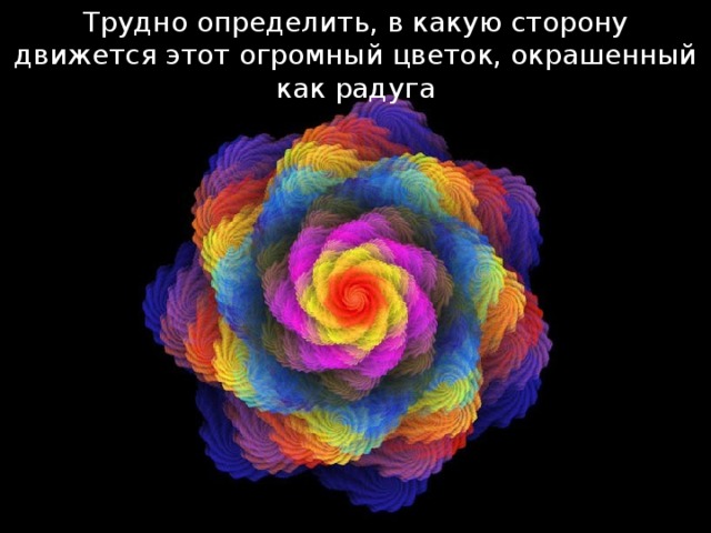 Трудно определить, в какую сторону движется этот огромный цветок, окрашенный как радуга 
