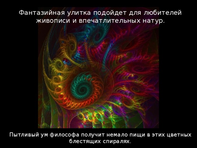 Фантазийная улитка подойдет для любителей живописи и впечатлительных натур. Пытливый ум философа получит немало пищи в этих цветных блестящих спиралях. 