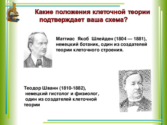 Теодор Шванн (1810-1882),  немецкий гистолог и физиолог,  один из создателей клеточной теории Маттиас Якоб Шлейден (1804 — 1881), немецкий ботаник, один из создателей теории клеточного строения.