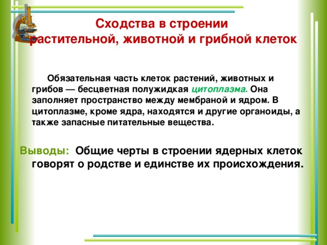 Сходства в строении  растительной, животной и грибной клеток   Обязательная часть клеток растений, животных и грибов — бесцветная полужидкая цитоплазма . Она заполняет пространство между мембраной и ядром. В цитоплазме, кроме ядра, находятся и другие органоиды, а также запасные питательные вещества.  Выводы: Общие черты в строении ядерных клеток говорят о родстве и единстве их происхождения.