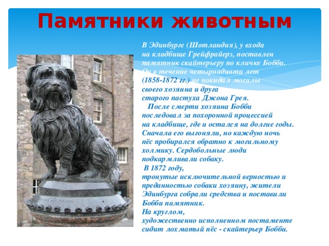 Памятники животным презентация