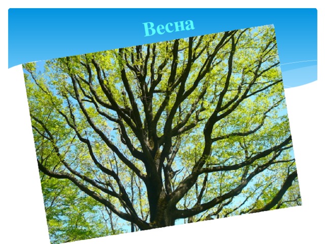 Весна 