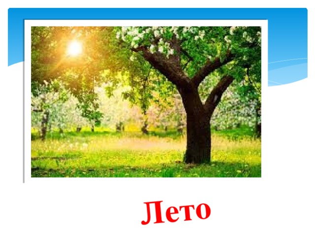 Лето 