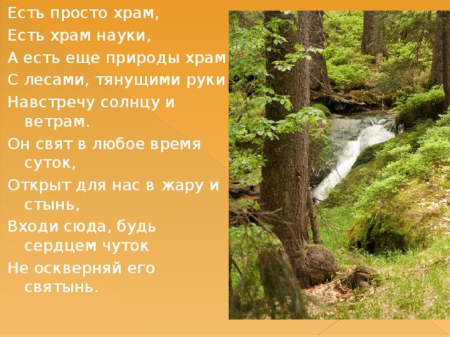 Есть просто храм, Есть храм науки, А есть еще природы храм С лесами, тянущими руки Навстречу солнцу и ветрам. Он свят в любое время суток, Открыт для нас в жару и стынь, Входи сюда, будь сердцем чуток Не оскверняй его святынь.   