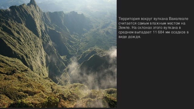 The area around the volcano Waialeale is considered   the wettest place on Earth . On the slopes of the volcano in the middle falls 11 684 mm of rain . Территория вокруг вулкана Ваиалеале считается самым влажным местом на Земле. На склонах этого вулкана в среднем выпадает 11 684 мм осадков в виде дождя. 
