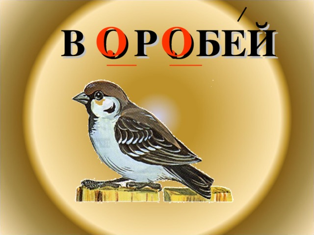 В . Р . БЕЙ О О 