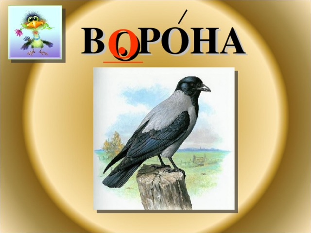 В . РОНА О 