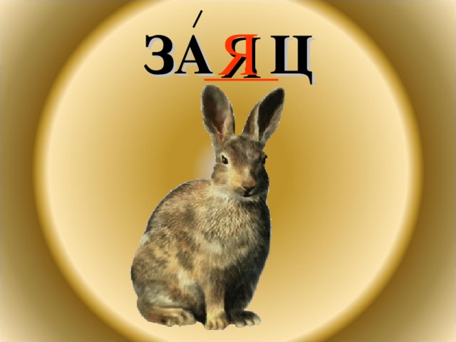 Я ЗА . Ц 
