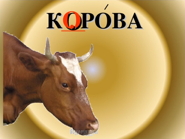 К . РОВА О 
