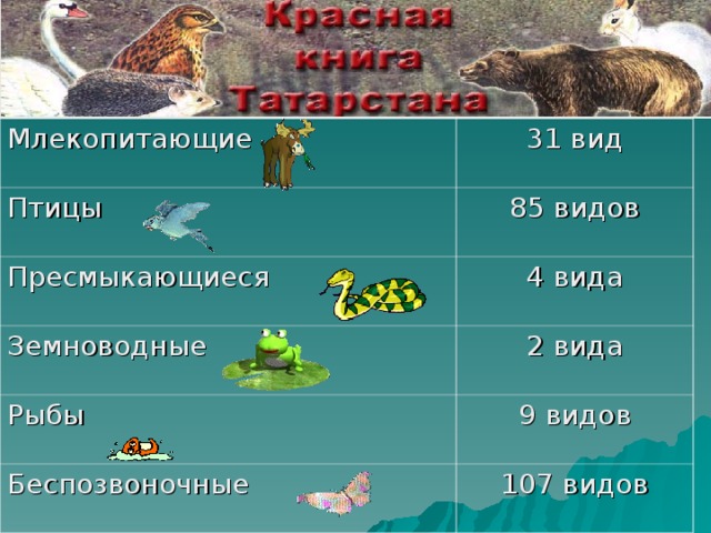 Млекопитающие 31 вид Птицы 85 видов Пресмыкающиеся 4 вида Земноводные 2 вида Рыбы Беспозвоночные 9 видов 107 видов 