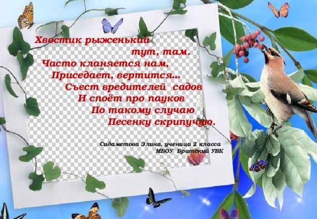 Хвостик рыженький  тут, там.  Часто кланяется нам,  Приседает, вертится …  Съест вредителей садов  И споёт про пауков  По такому случаю  Песенку скрипучую.   Сидаметова Элина, ученица 2 класса  МБОУ Братский УВК  