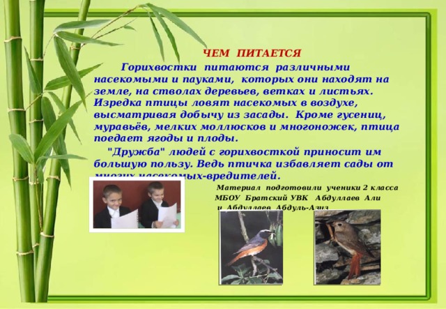  ЧЕМ ПИТАЕТСЯ  Горихвостки питаются различными насекомыми и пауками, которых они находят на земле, на стволах деревьев, ветках и листьях. Изредка птицы ловят насекомых в воздухе, высматривая добычу из засады. Кроме гусениц, муравьёв, мелких моллюсков и многоножек, птица поедает ягоды и плоды.  