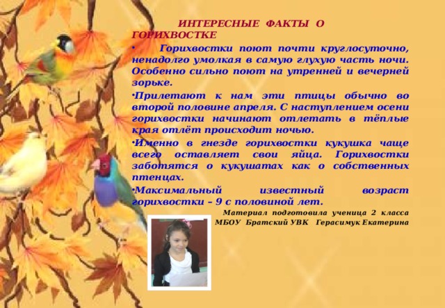  ИНТЕРЕСНЫЕ ФАКТЫ О ГОРИХВОСТКЕ  Горихвостки поют почти круглосуточно, ненадолго умолкая в самую глухую часть ночи. Особенно сильно поют на утренней и вечерней зорьке. Прилетают к нам эти птицы обычно во второй половине апреля. С наступлением осени горихвостки начинают отлетать в тёплые края отлёт происходит ночью. Именно в гнезде горихвостки кукушка чаще всего оставляет свои яйца. Горихвостки заботятся о кукушатах как о собственных птенцах. Максимальный известный возраст горихвостки – 9 с половиной лет. Материал подготовила ученица 2 класса  МБОУ Братский УВК Герасимук Екатерина 