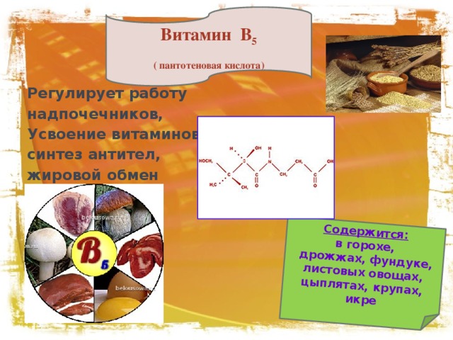 Содержится: в горохе,  дрожжах, фундуке, листовых овощах, цыплятах, крупах, икре Витамин В 5 ( пантотеновая кислота) Регулирует работу надпочечников, Усвоение витаминов, синтез антител, жировой обмен 