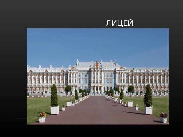  ЛИЦЕЙ 
