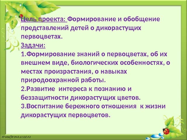 Цель проекта: Формирование и обобщение представлений детей о дикорастущих первоцветах. Задачи: 1.Формирование знаний о первоцветах, об их внешнем виде, биологических особенностях, о местах произрастания, о навыках природоохранной работы. 2.Развитие интереса к познанию и беззащитности дикорастущих цветов. 3.Воспитание бережного отношения к жизни дикорастущих первоцветов. 