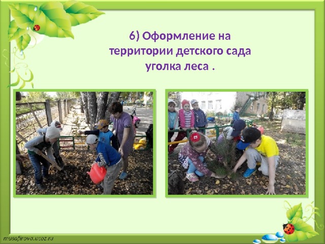 6) Оформление на территории детского сада уголка леса . 