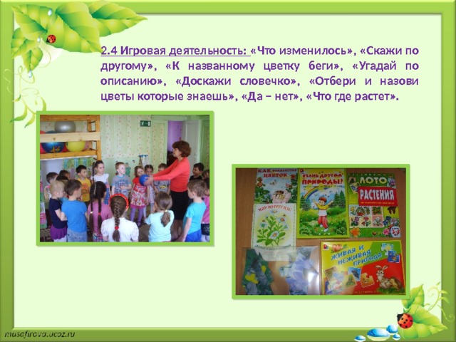 2.4 Игровая деятельность:  «Что изменилось», «Скажи по другому», «К названному цветку беги», «Угадай по описанию», «Доскажи словечко», «Отбери и назови цветы которые знаешь», «Да – нет», «Что где растет». 