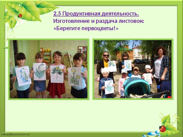 2.5 Продуктивная деятельность. Изготовление и раздача листовок: «Берегите первоцветы!» 