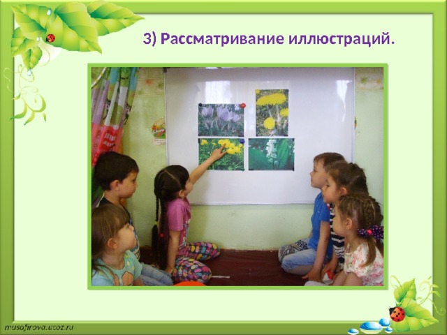 3) Рассматривание иллюстраций. 