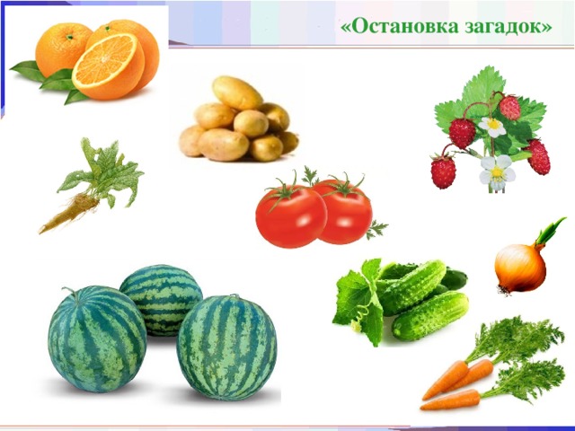 «Остановка загадок»