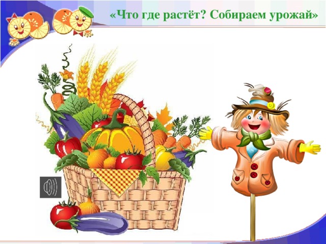 «Что где растёт? Собираем урожай»