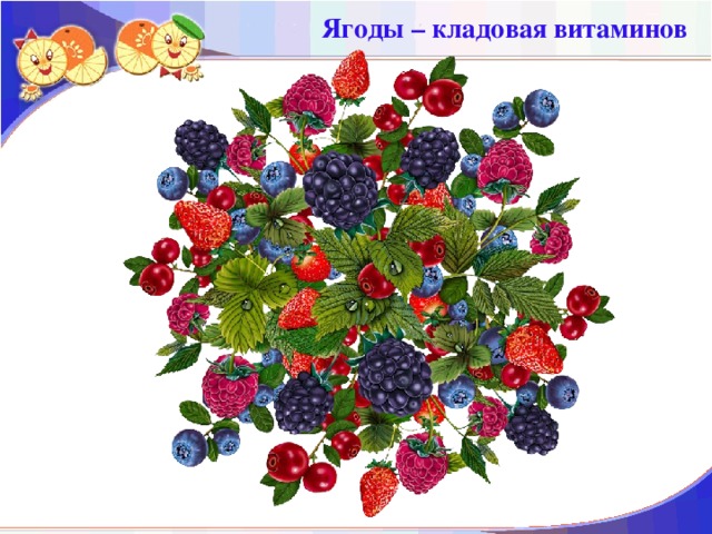 Ягоды – кладовая витаминов
