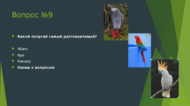 Карта какаду 2 дачники