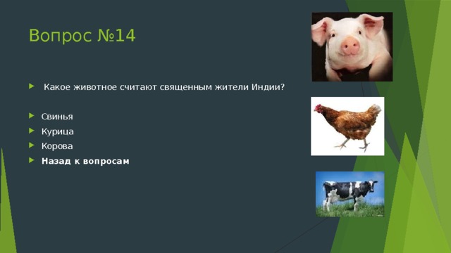 На рисунке изображены корова и свинья длина тела