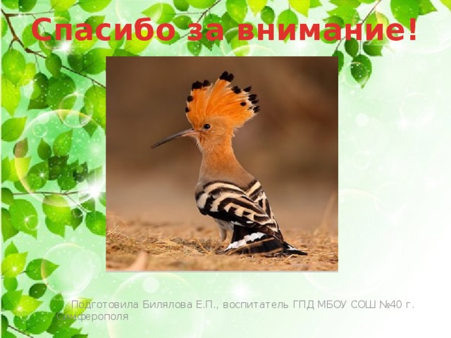 Спасибо за внимание!          Подготовила Билялова Е.П., воспитатель ГПД МБОУ СОШ №40 г. Симферополя 