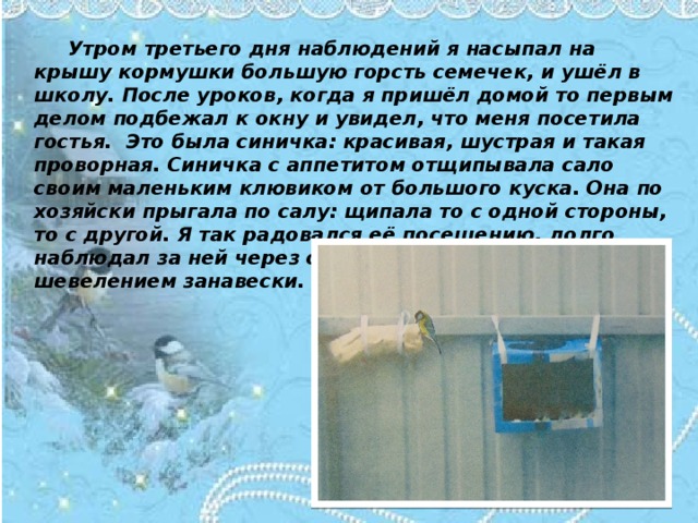 Утром третьего дня наблюдений я насыпал на крышу кормушки большую горсть семечек, и ушёл в школу. После уроков, когда я пришёл домой то первым делом подбежал к окну и увидел, что меня посетила гостья. Это была синичка: красивая, шустрая и такая проворная. Синичка с аппетитом отщипывала сало своим маленьким клювиком от большого куска. Она по хозяйски прыгала по салу: щипала то с одной стороны, то с другой. Я так радовался её посещению, долго наблюдал за ней через окно пока не спугнул её шевелением занавески.  