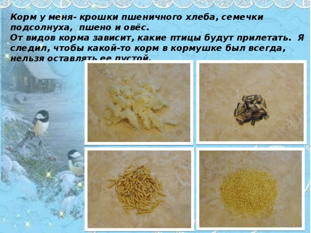 Пернатые гости сочинение 3 класс по плану
