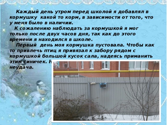  Каждый день утром перед школой я добавлял в кормушку какой то корм, в зависимости от того, что у меня было в наличии.  К сожалению наблюдать за кормушкой я мог только после двух часов дня, так как до этого времени я находился в школе.  Первый день моя кормушка пустовала. Чтобы как то привлечь птиц я привязал к забору рядом с кормушкой большой кусок сала, надеясь приманить этим синичек. Но и на второй день меня постигла неудача.  