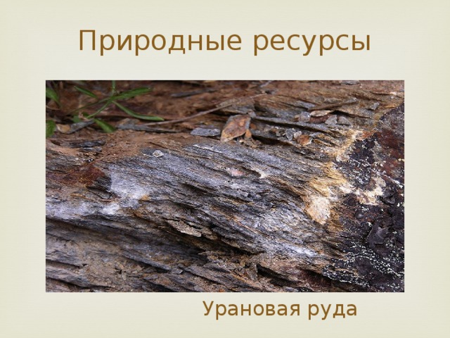 Природные ресурсы  Урановая руда 